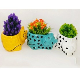 Cat Shape Dotted Ceramic Pot Any Color 299(Per/Piece)